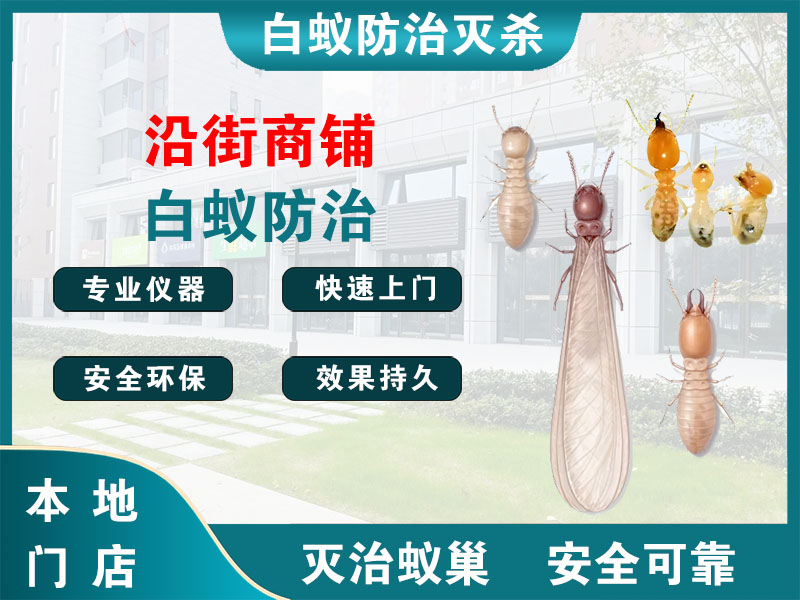上城沿街商铺白蚁防治