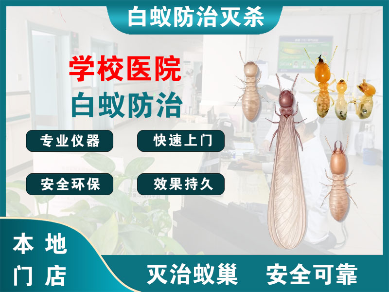 上城学校医院白蚁防治