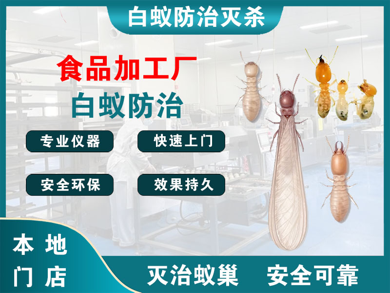 上城食品加工厂白蚁防治