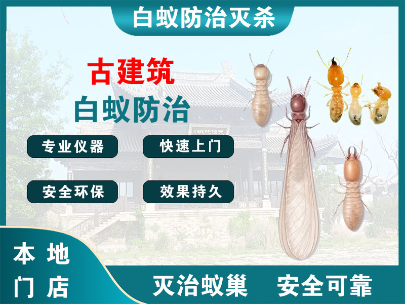 上城古建筑白蚁防治