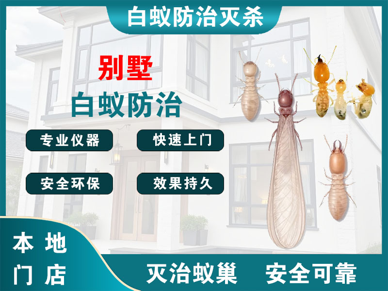 上城别墅白蚁防治